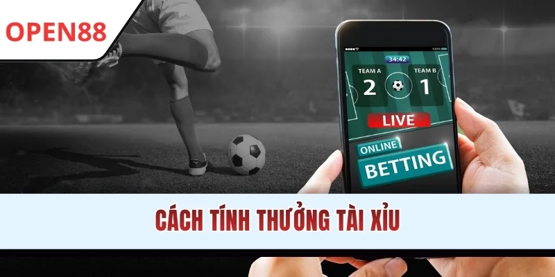 Cách tính thưởng Tài Xỉu